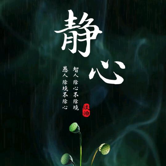 💦愿我静心如莲，不为世俗所扰💦