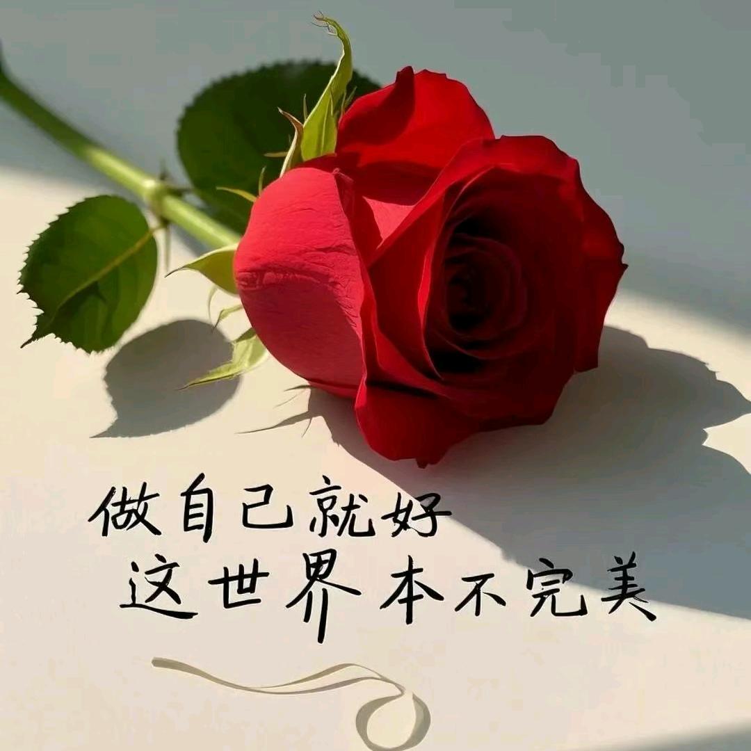 阳光温柔