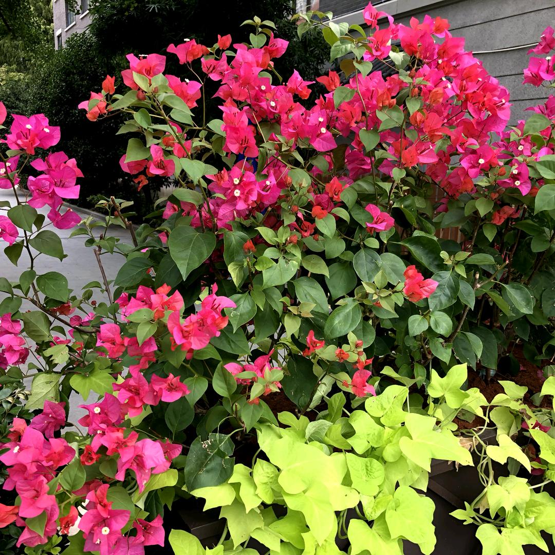 天空属于哈尔威！😆