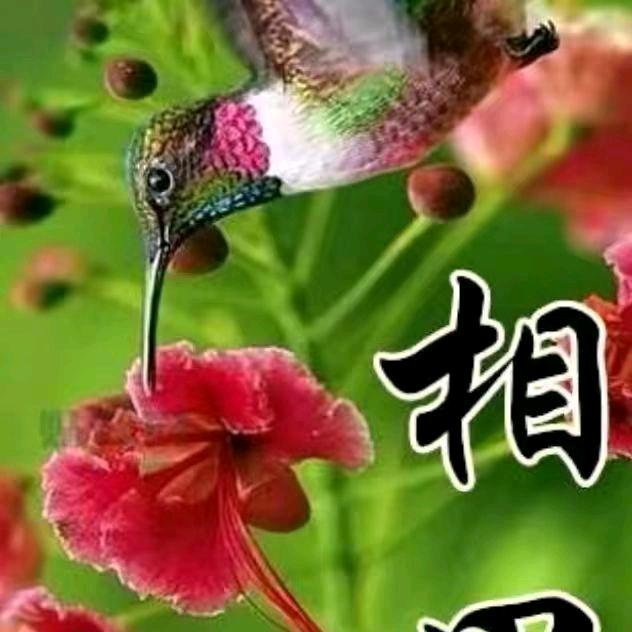单亲妈妈8271380515244