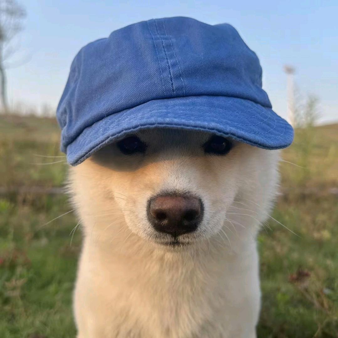 欧泡