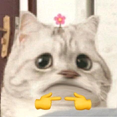 小优游戏酱