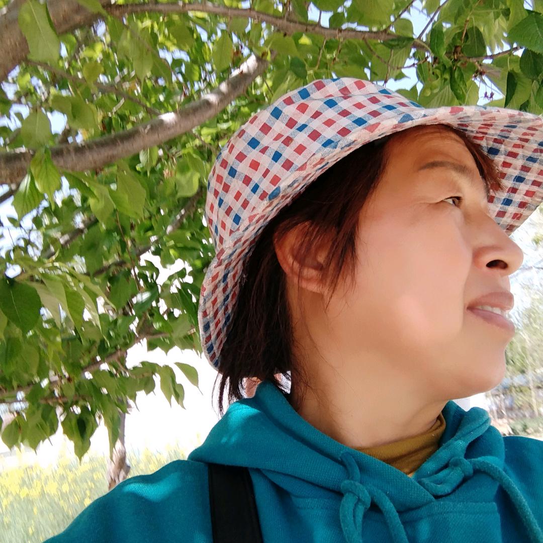 农村张姐(步步高升)