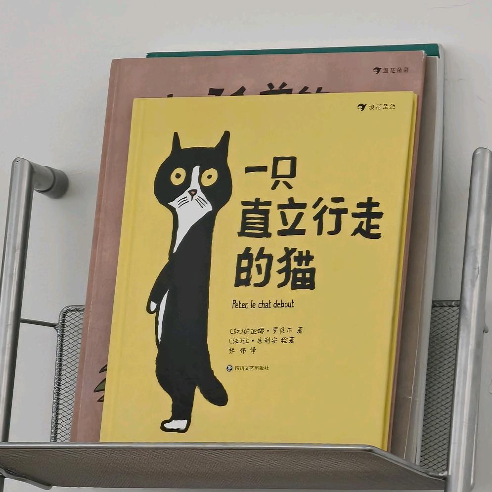 猫的壳店