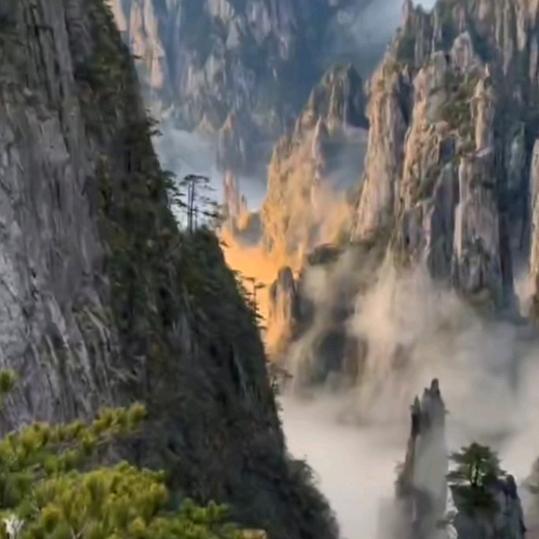 自镜