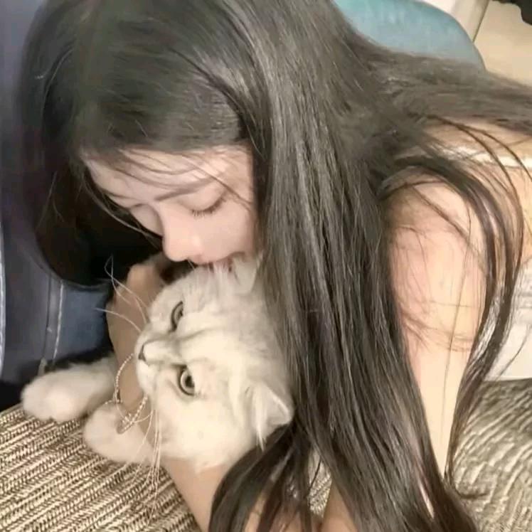 🐾.