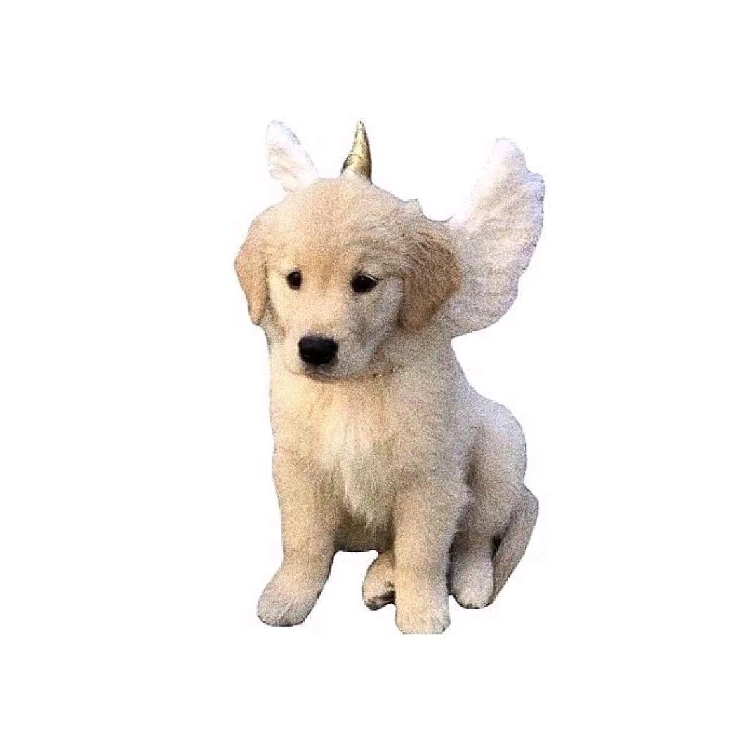 憨堡堡