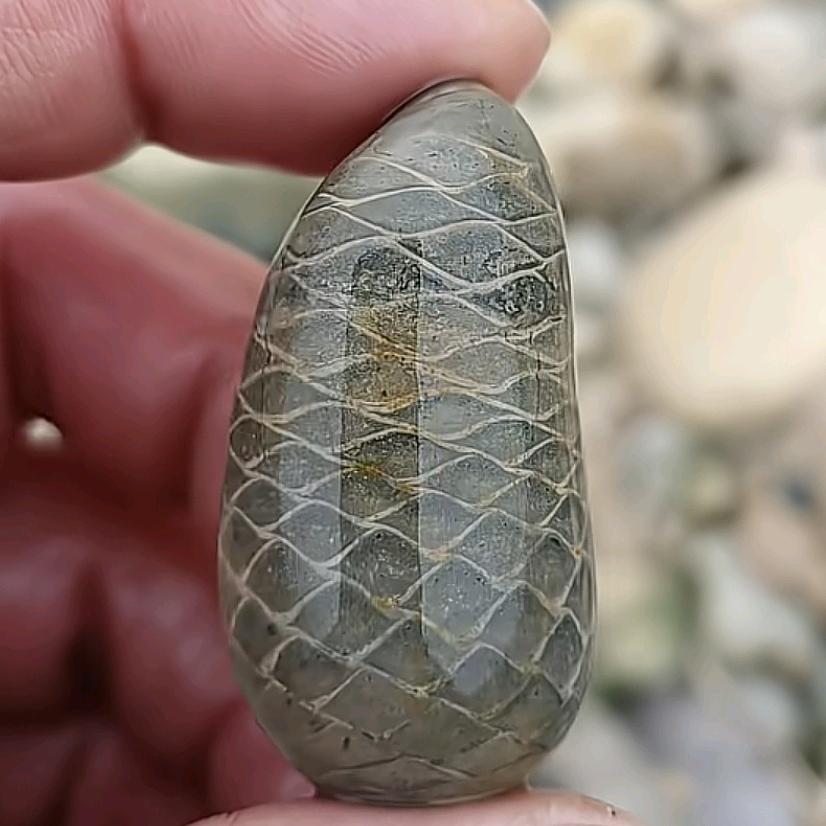 ㅤ              黑