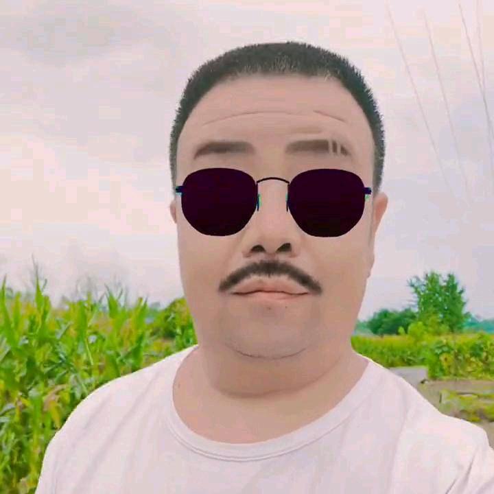 🐅雨夜的叹息🐅