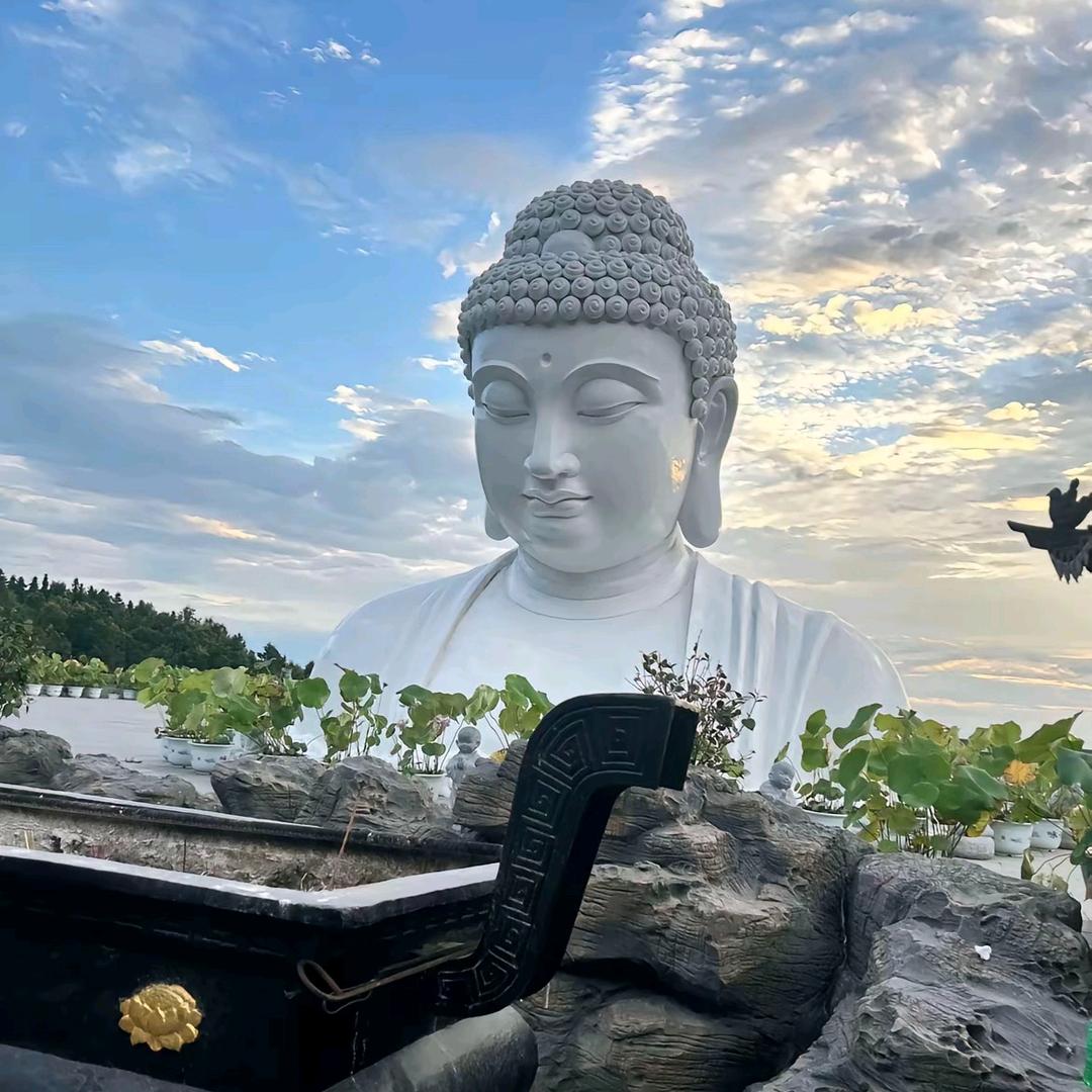 王金寶