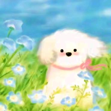 挑了一条碎花裙