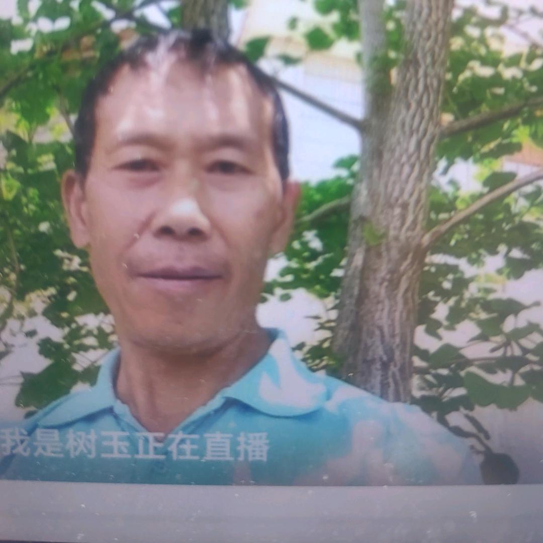 树玉主播