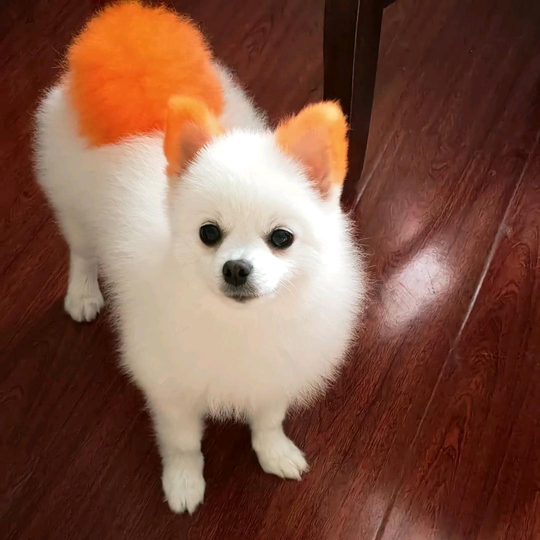 用户800719505838，平淡人生