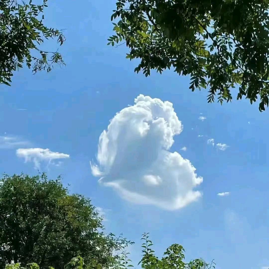 昊宇航