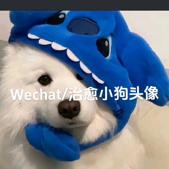 福仔宠物用品店