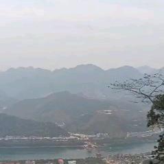 实体帮扶李飞-莫荡倍