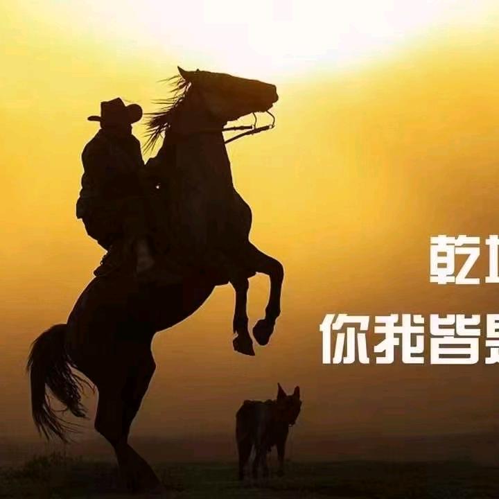 郑州德物二手车销售有限公司