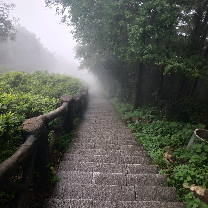 随缘