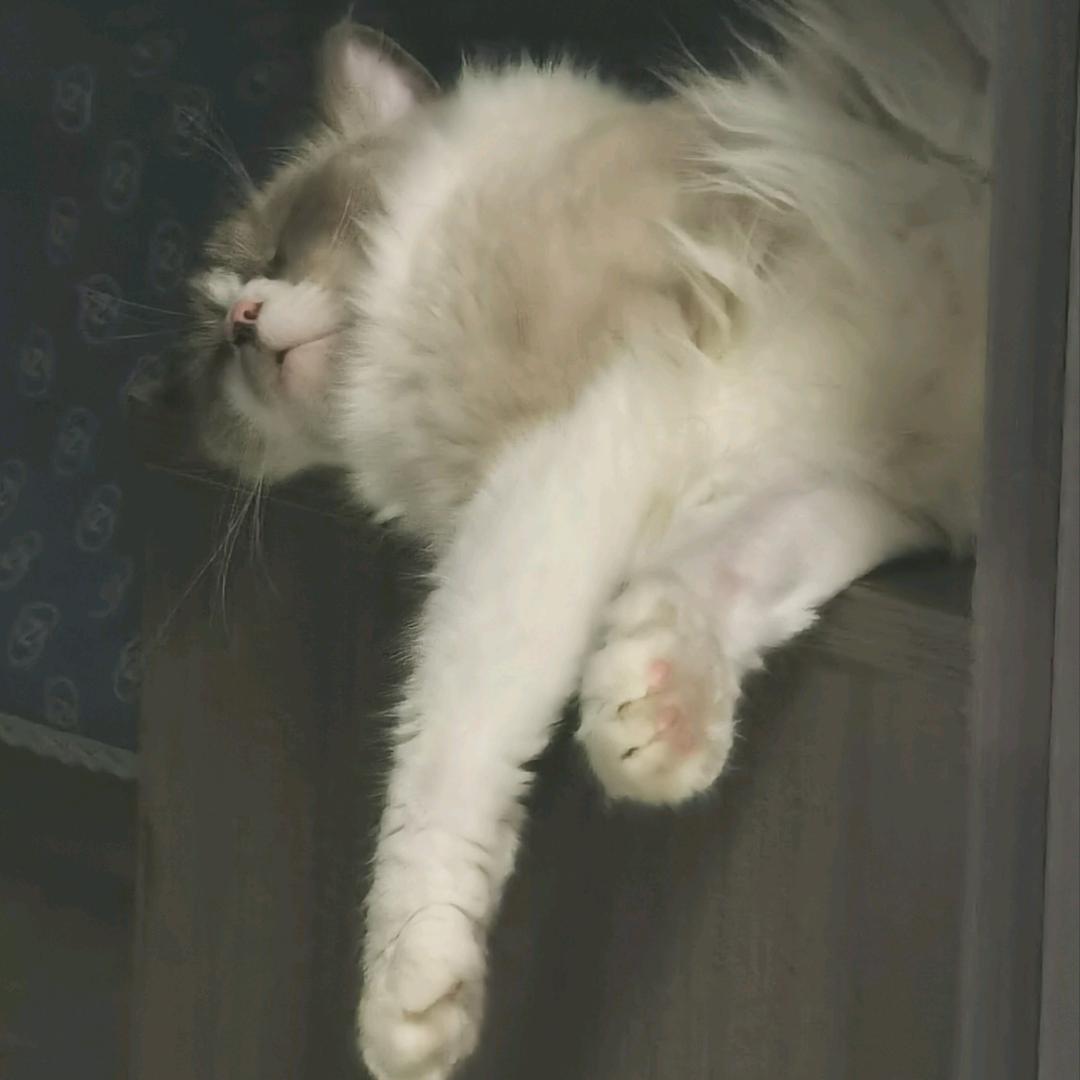 37.2°