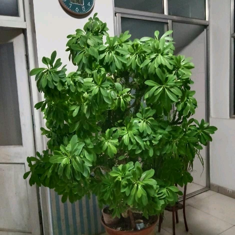 本人承接，装车，卸车，