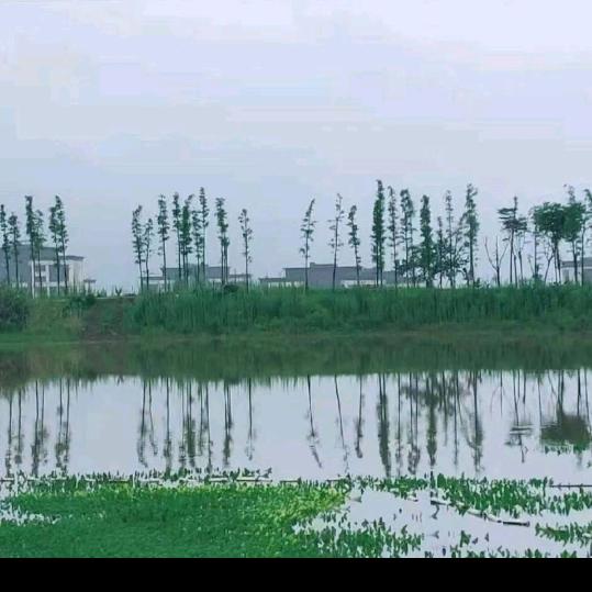 顺其自然
