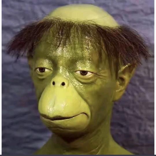 骑老奶奶闯红灯