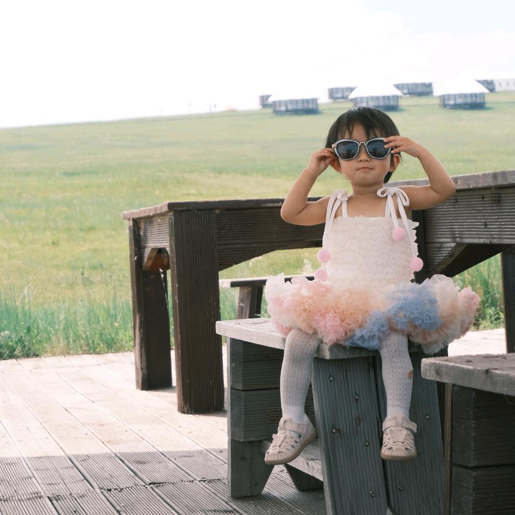 六六今天吃啥啦