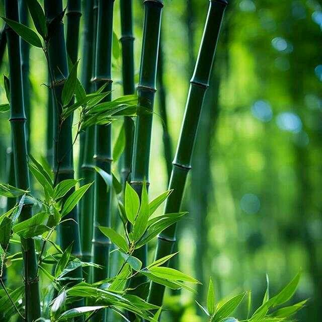 初夕