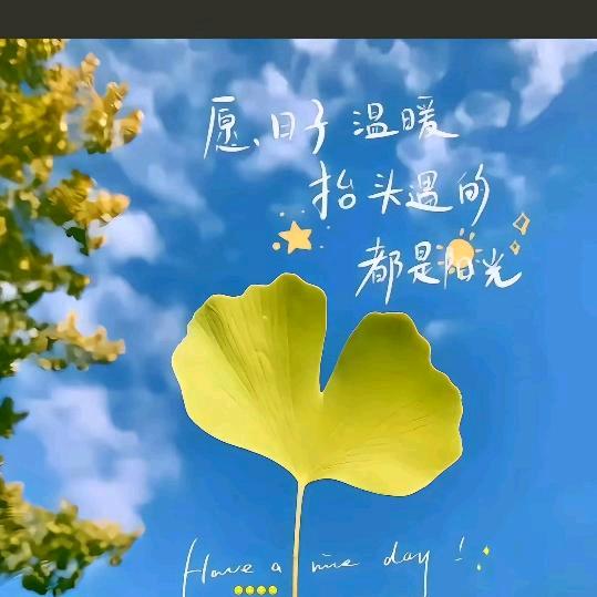 谋财渡凡尘