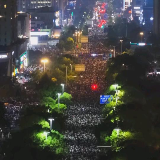 ☀️A-夕阳下的向日葵。