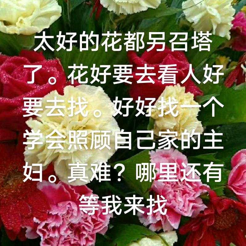 我是单身的一人
