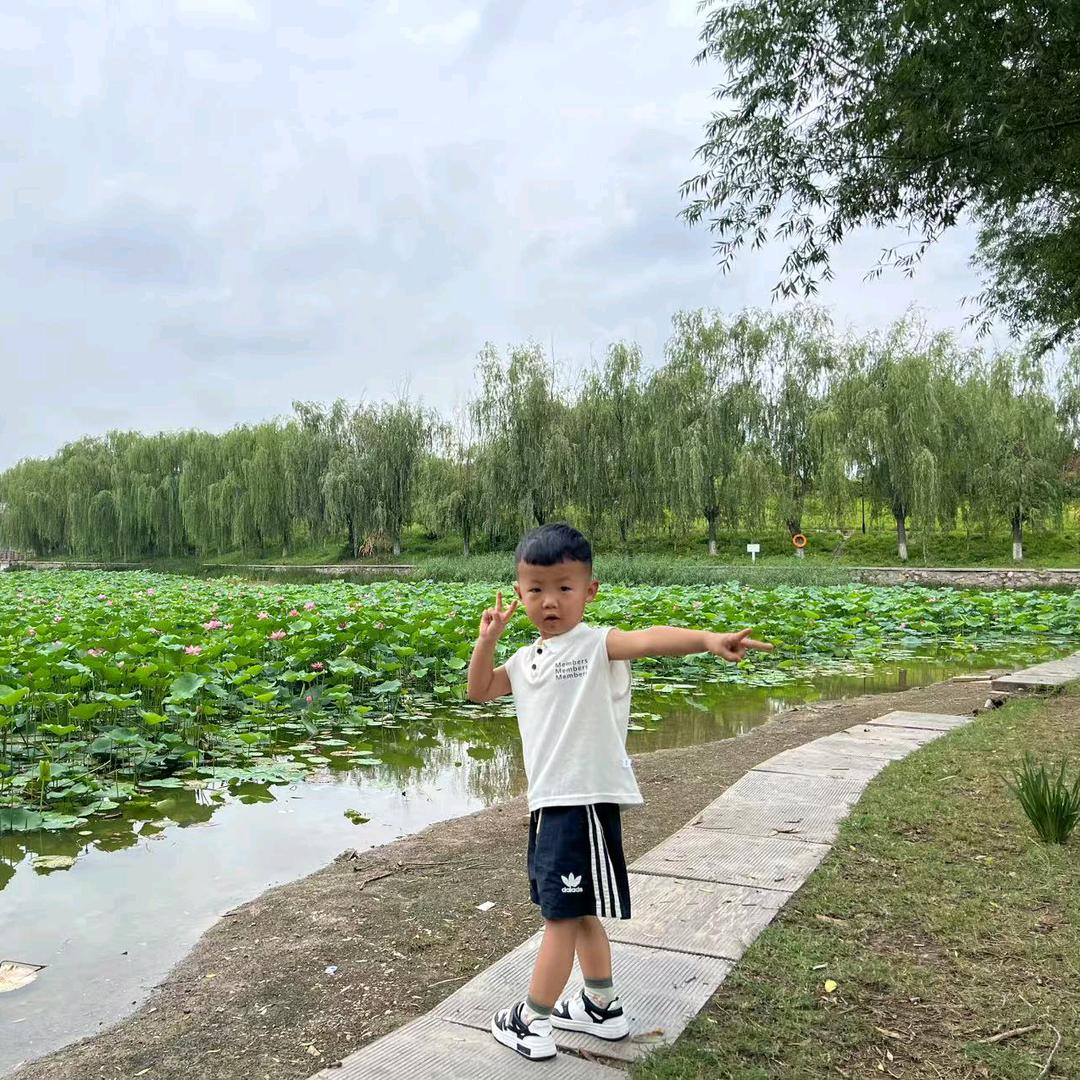 俊勇，电力，电器