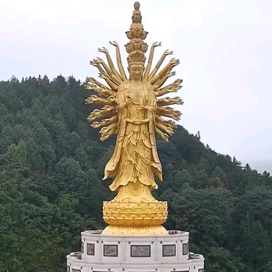 在九龙池垫脚的银荆