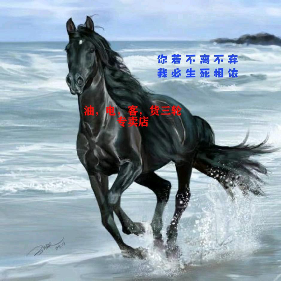 富亮车行:兆虎，珠峰，大江，富路客货三轮头像