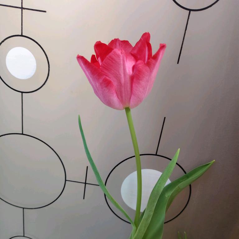 MY开心就好  陈雪