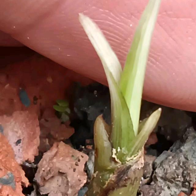 嘿嘿💫再来①个(･｀ω´･☝)