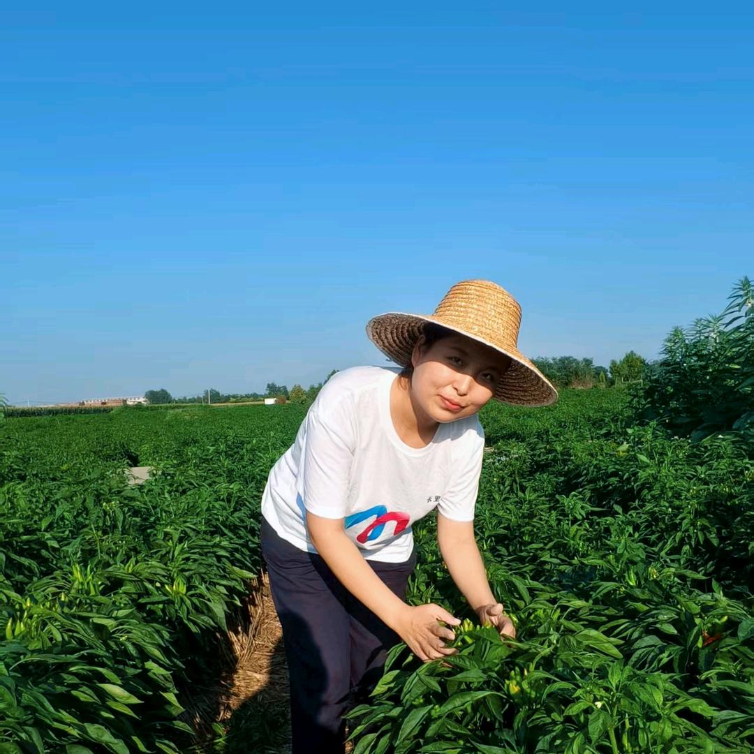 长里美蔬菜管理-真真