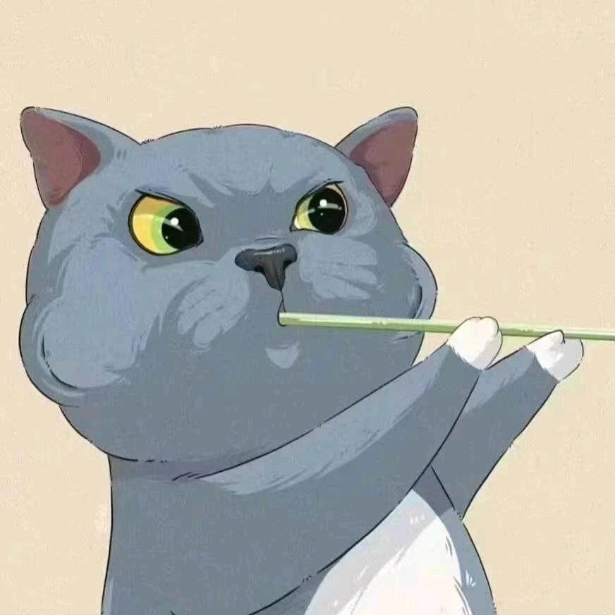 浅草拾光