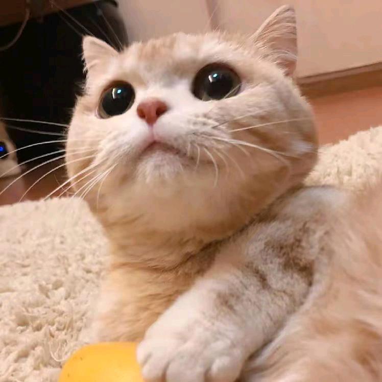 农村娃记录生活