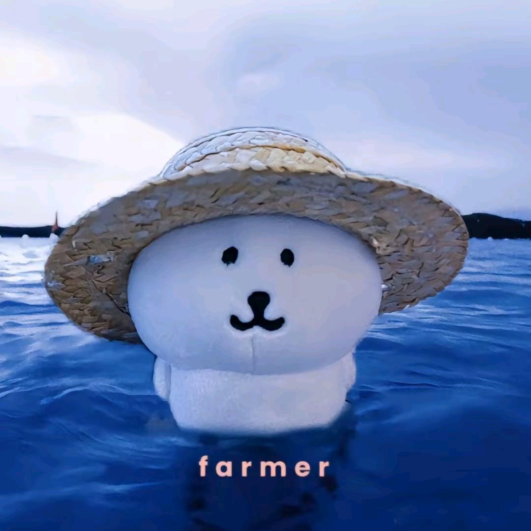 四分之三柿子狗