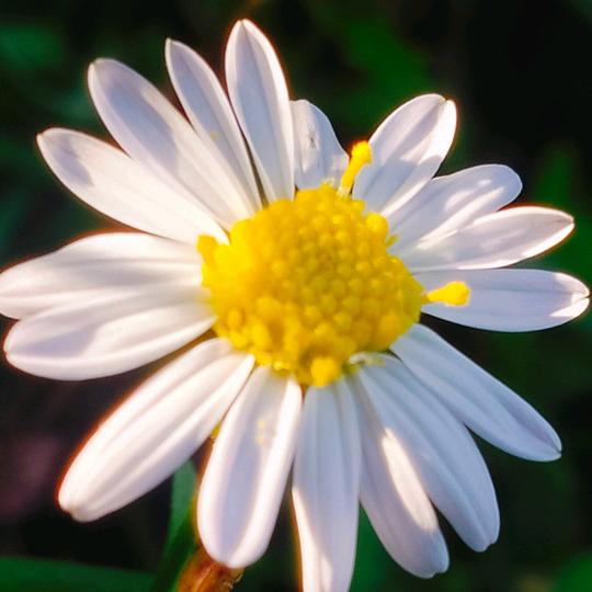 独乐乐不如众乐乐