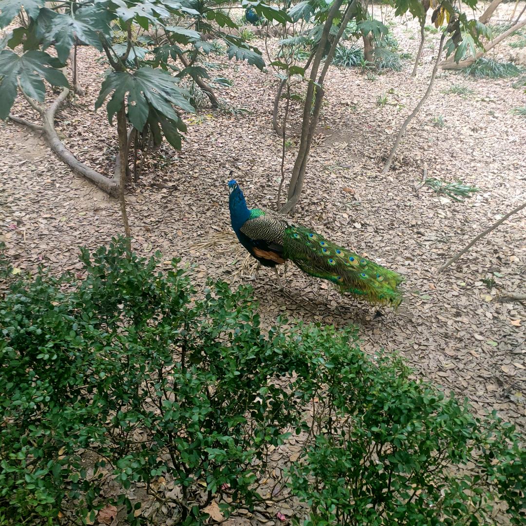 ꩵོ࿆࿌💥海纳🌊百川💎ོ࿇࿆༄