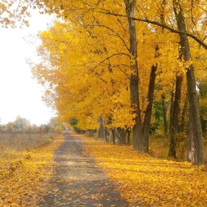 寒山渐远渐明薄