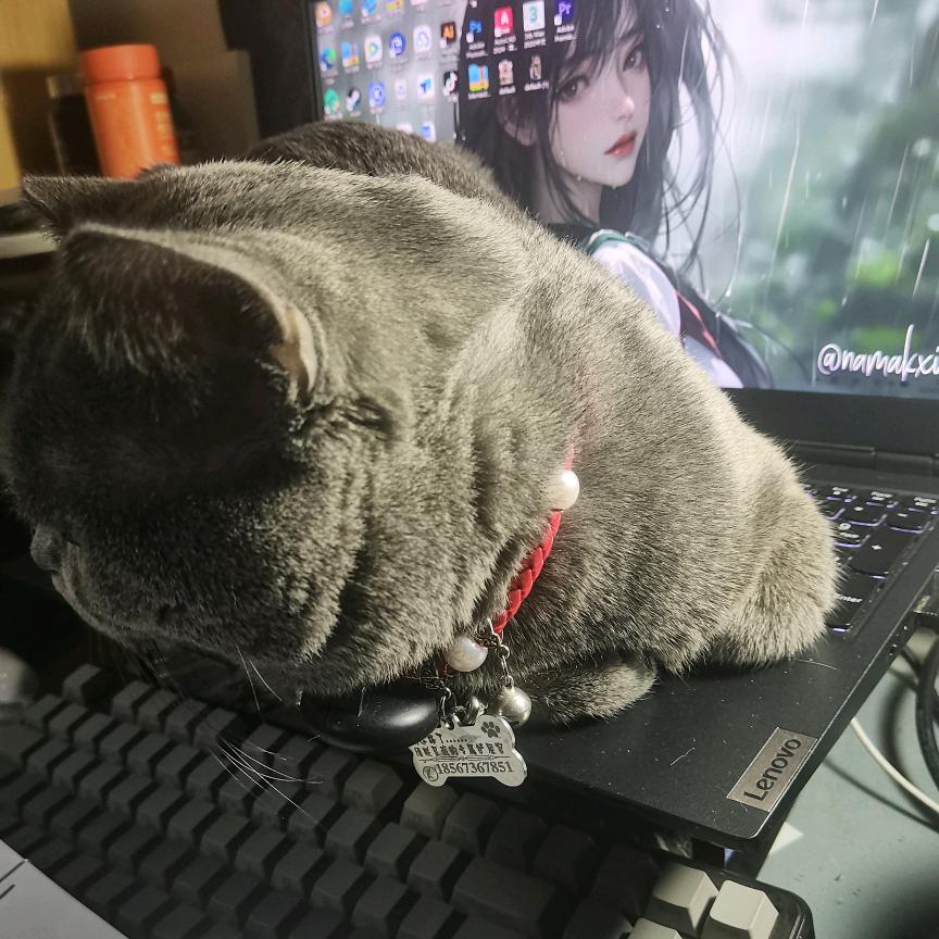 氨茶碱