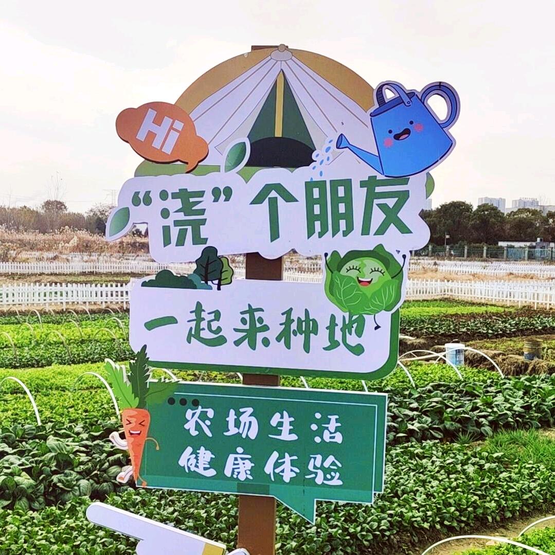森森田园