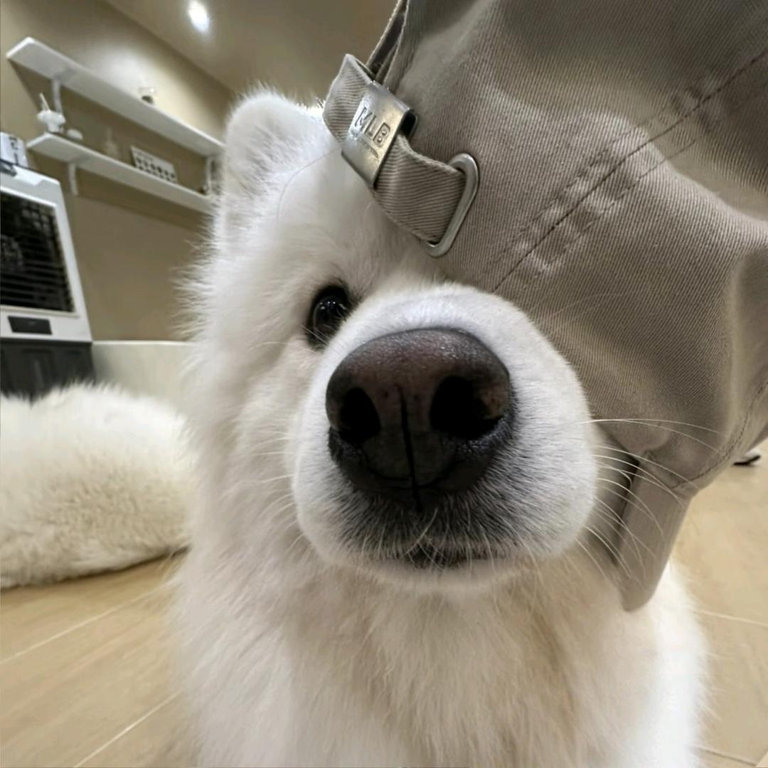 跑步劲儿劲儿的