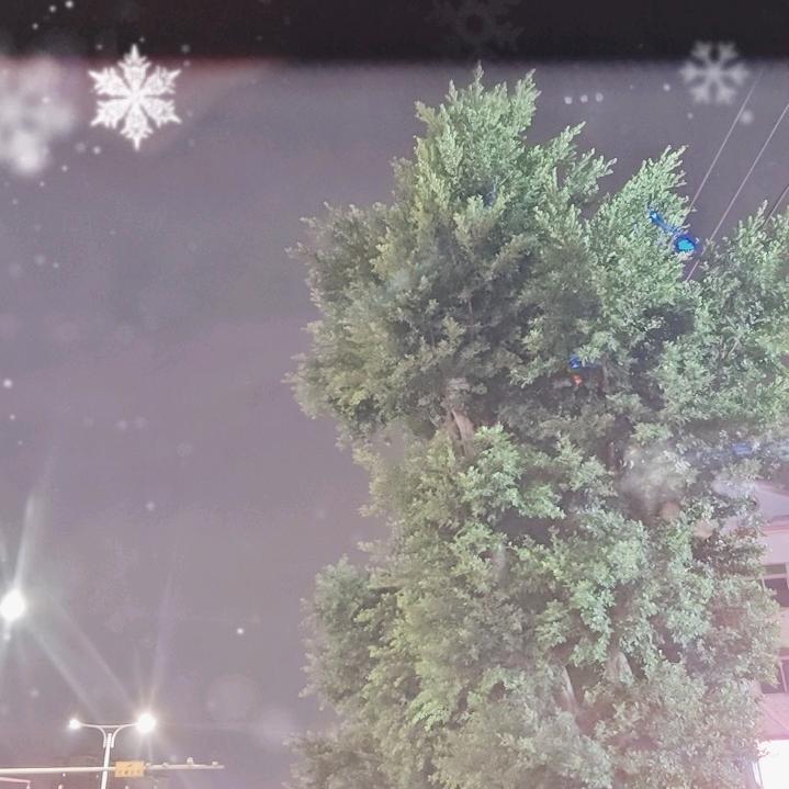 附近人的日常生活