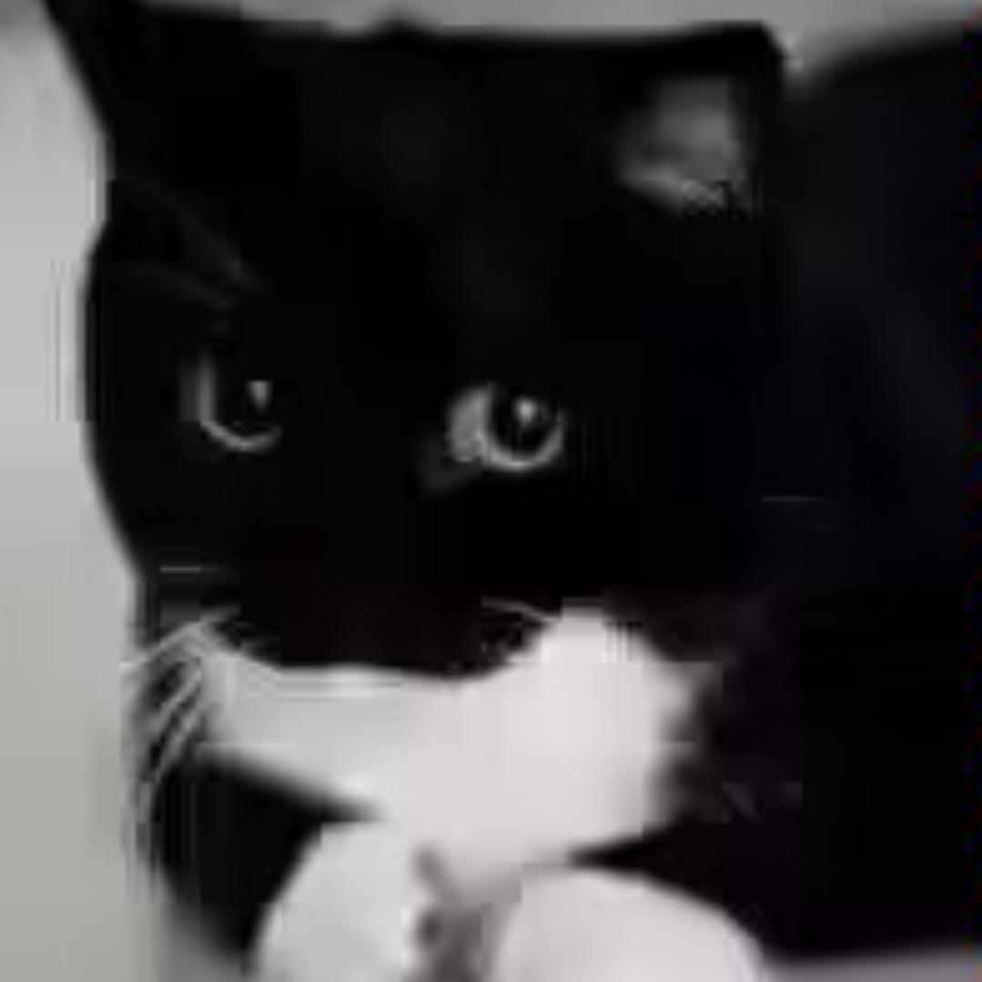 晴^O^天