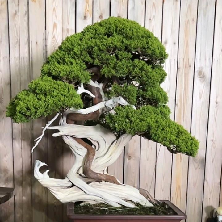 事事顺心