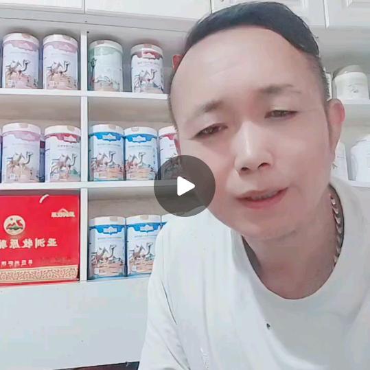 装修老罗媒婆！亚洲牧原新疆骆驼骆驼奶粉
